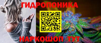 СК Абинск