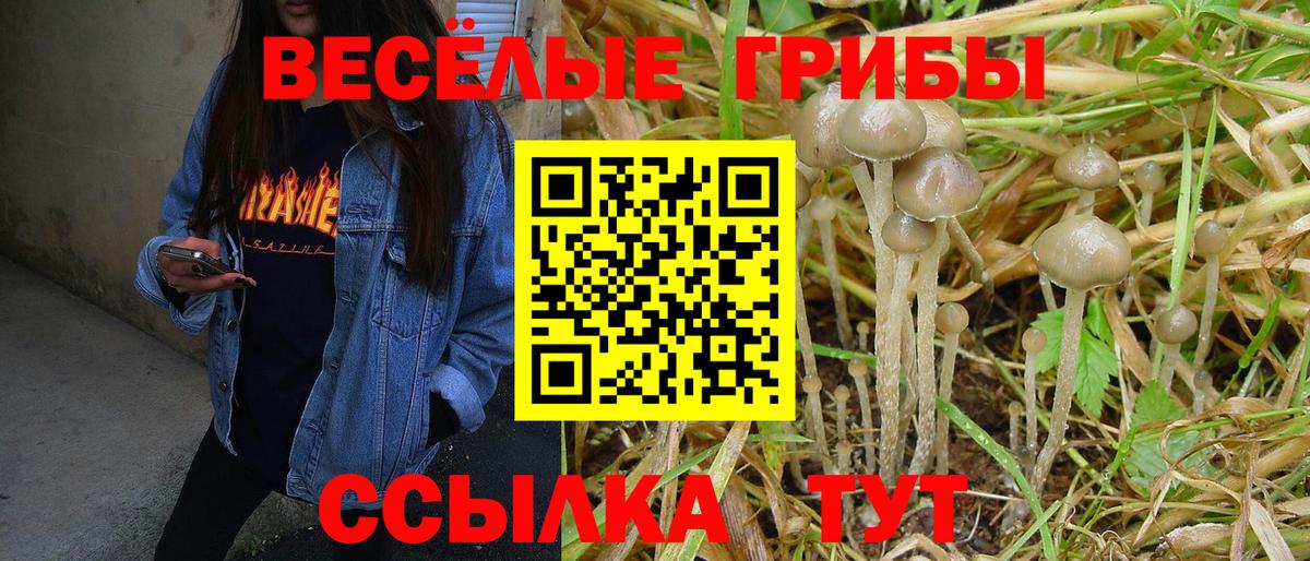Псилоцибиновые грибы мухоморы  Вход с VPN  Алейск 