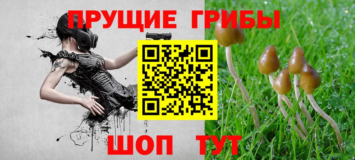 Наркошоп  ГАШИШ  Алейск  МЕФ   Кетамин  ГАШИШ  Марихуана  COCAIN  Вход с VPN 